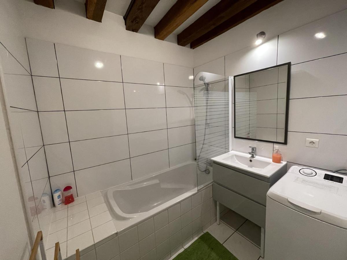 Appartement Le Saint-Nicolas Auxerre Les Quais Zimmer foto
